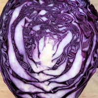 Rotkohl - AKE Tipp saisonal