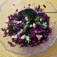 Rotkohl-Feld-Salat